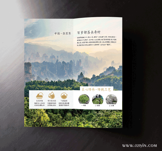 茶葉折頁 第2張 茶葉折頁 第2張