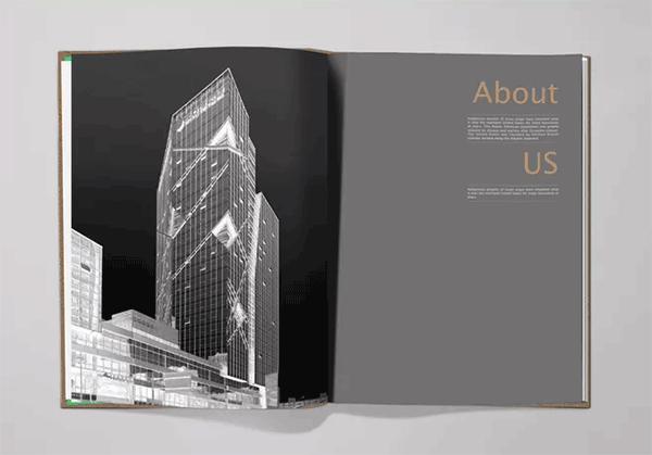 高檔樓書  第3張