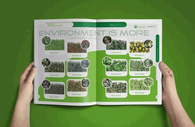 上海畫(huà)冊(cè)印刷產(chǎn)品有哪些主要特點(diǎn)