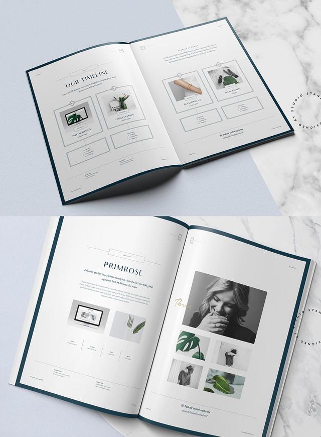 20款現(xiàn)代風(fēng)格畫冊(cè)設(shè)計(jì)欣賞/折頁(yè)設(shè)計(jì)-畫冊(cè)  第13張