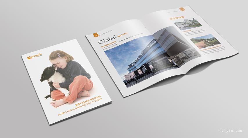 上海彩頁印刷時(shí)會(huì)碰到哪些常見問題？  第1張