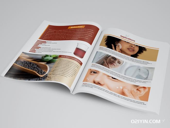 長(zhǎng)春畫冊(cè)印刷  第2張