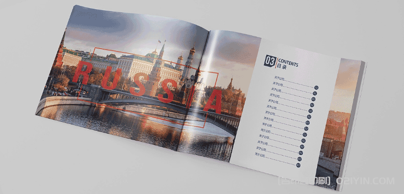 留學俄羅斯繼續(xù)教育宣傳畫冊印刷  第3張