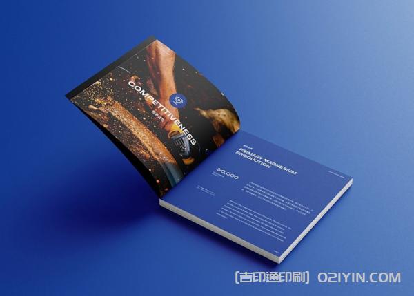 外企業畫冊設計印刷  第7張