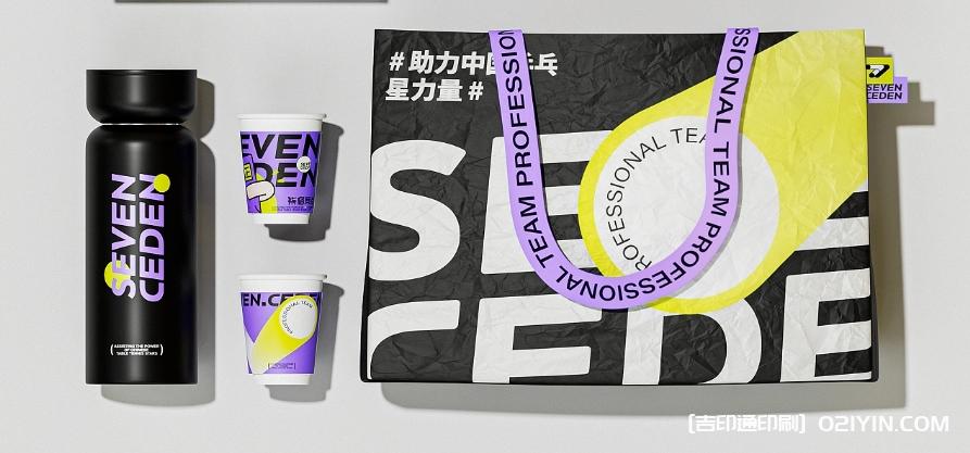 體育教育類品牌VI系統(tǒng)標(biāo)志設(shè)計(jì)  第4張