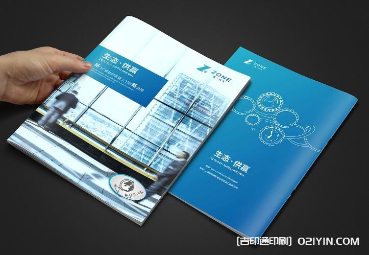 生態(tài)軟件IT供應(yīng)鏈畫冊(cè)設(shè)計(jì)  第3張