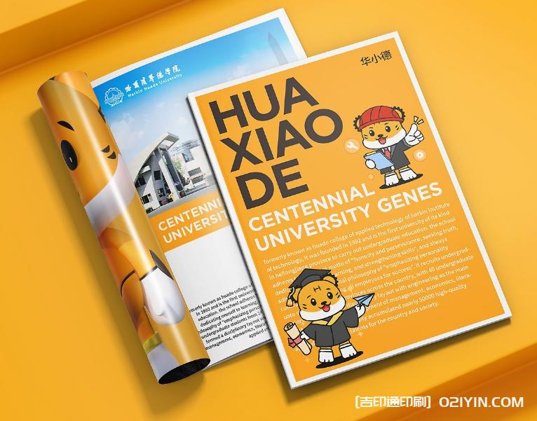 智能科技產品手冊設計印刷  第4張