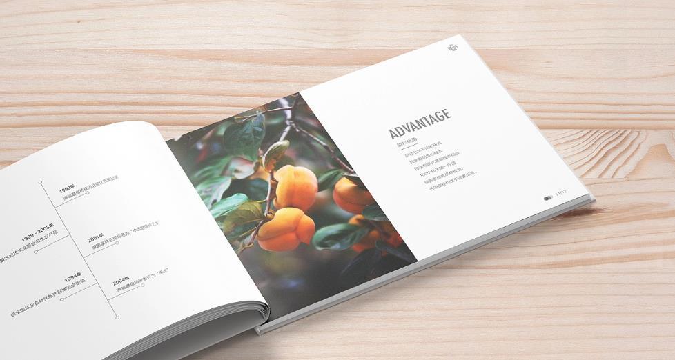 上海黃浦區(qū)畫冊印刷的設計需求有哪些？
