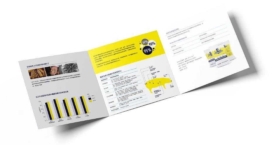 上海會(huì)展三折頁印刷 | 展會(huì)宣傳冊(cè) | 現(xiàn)場物料支持