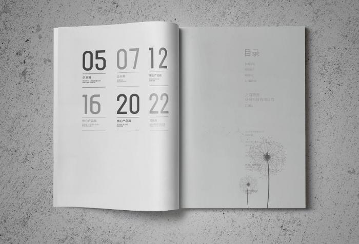 上海企業(yè)簡介定制印刷，按需設(shè)計(jì)，貼合企業(yè)個(gè)性化需求